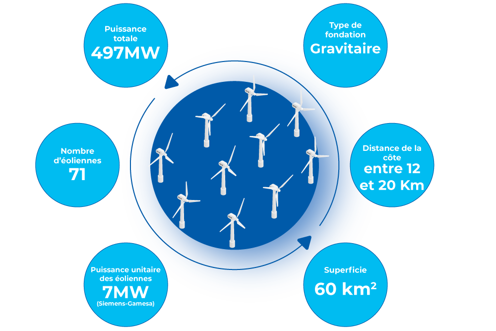 infographie des caractéristiques du parc éolien en mer de  Fécamp